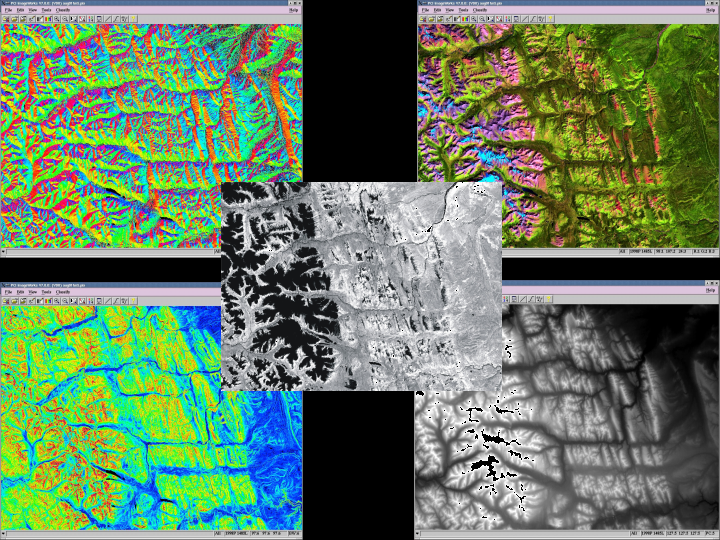 which holds more data raster or vector gis